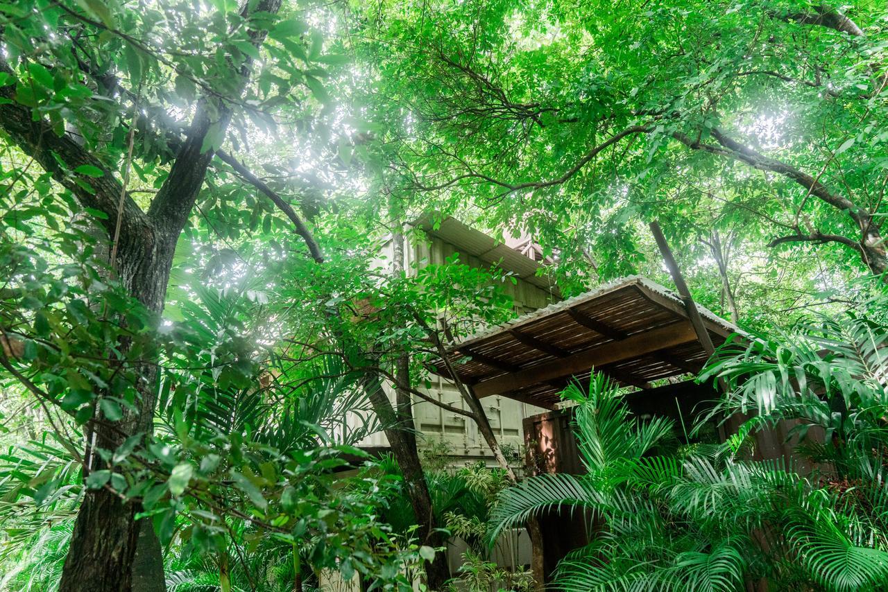 Green Sanctuary Hotel Nosara Buitenkant foto